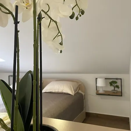 Apartment Joy 6 *